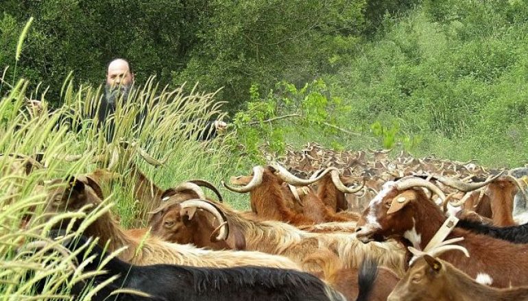 Το όραμα του Μητροπολίτη Ιωαννίνων Μαξίμου (ΦΩΤΟ)