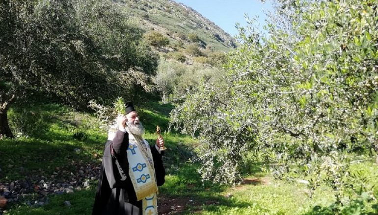 Αγιασμός για την έναρξη της συγκομιδής ελαιοκάρπου στην Μάνη (ΦΩΤΟ)