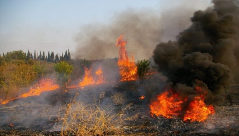 Φωτιά ξέσπασε στο Άγιον Όρος