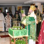 Αυστραλίας: «Να σηκώνετε το σταυρό σας εκούσια και με χαρά, όχι παθητικά»