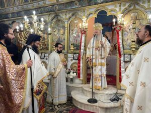 Ποιμαντική επίσκεψη του Μητροπολίτη Χαλκίδος στις ενορίες Διρφύων και Μεσσαπίων