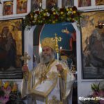 Ἡ ἀγριέλαιος καί ἡ καλλιέλαιος